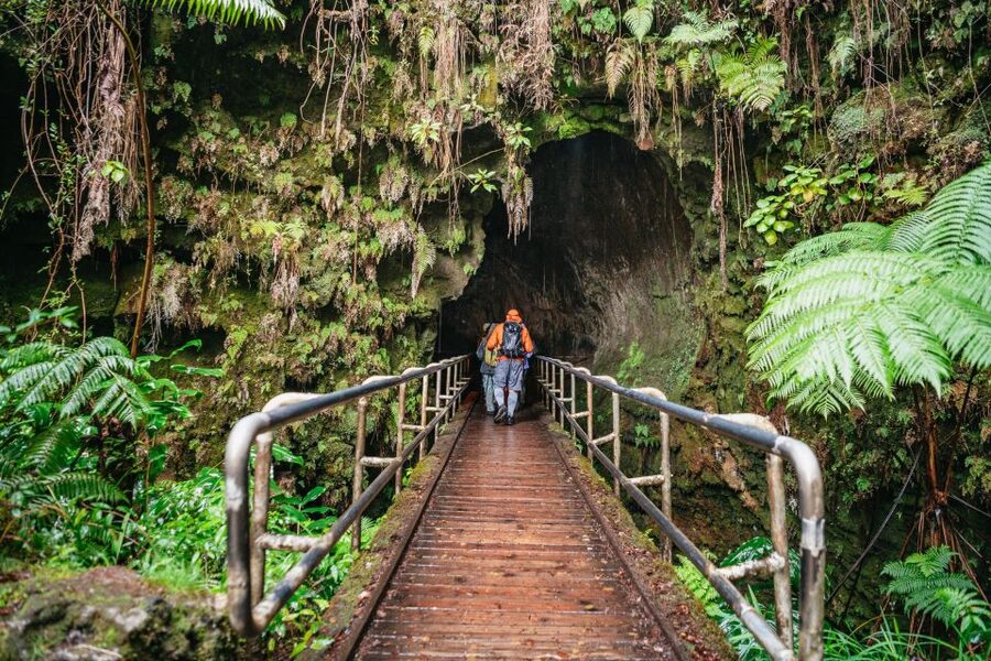 Big Island: Hawai'i Volcanoes National Park Guided Hike - Starting at the Kilauea Visitor Center