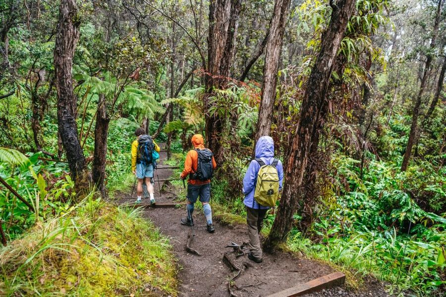 Big Island: Hawai'i Volcanoes National Park Guided Hike - Lunch and the Pace of the Day