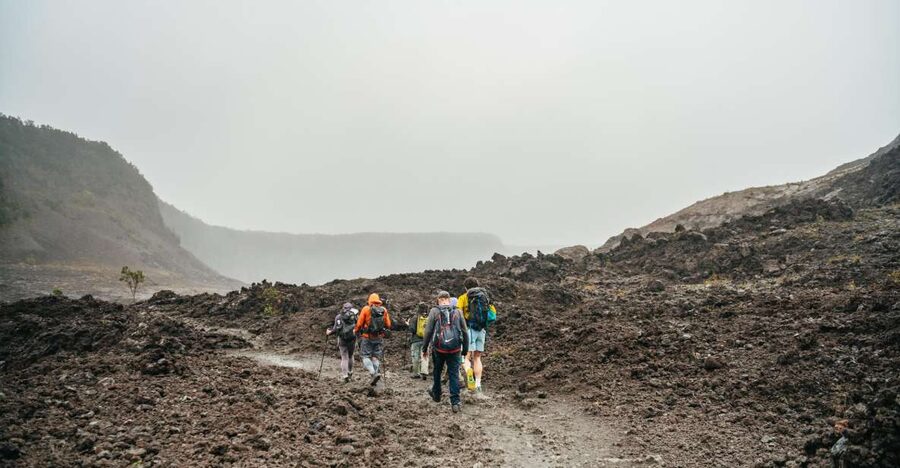 Big Island: Hawai'i Volcanoes National Park Guided Hike - Walking Through the Native Rainforest