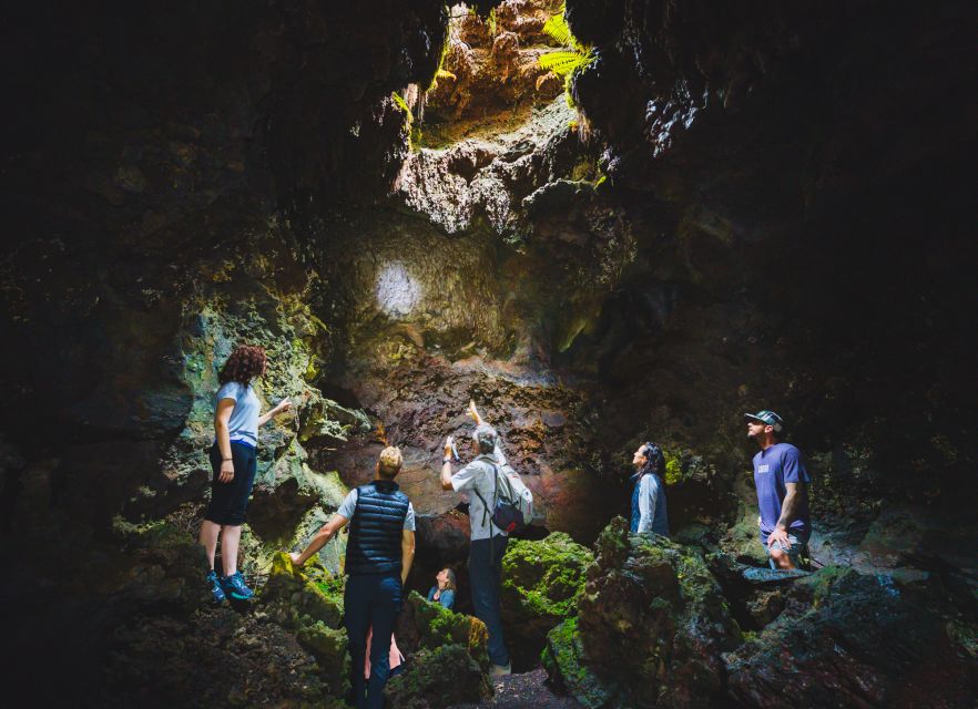 Big Island: Off the Beaten Path Volcano Crater Hike - Key points to know before you book