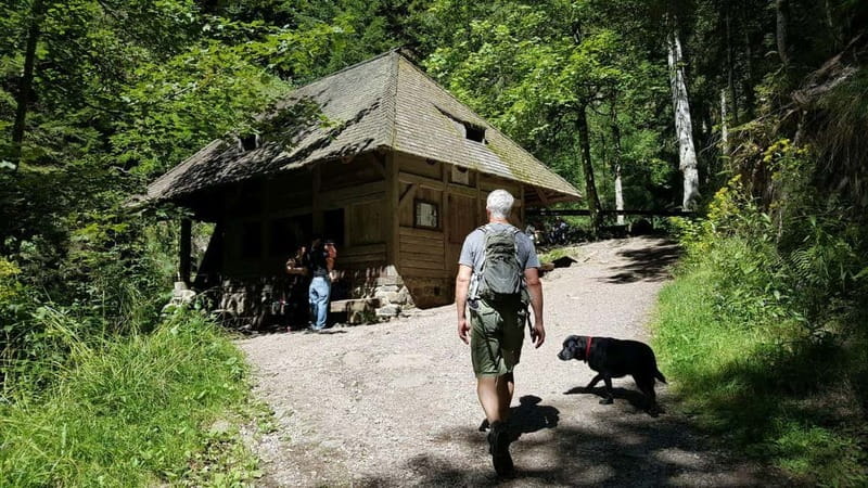 Black Forest: Ravenna Gorge Hike, Self-Guided - Old mills, chapel history, and a giant cuckoo clock