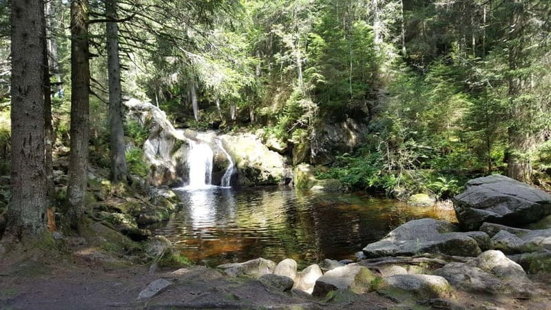 Black Forest: Ravenna Gorge Hike, Self-Guided - What the $5 price really gives you