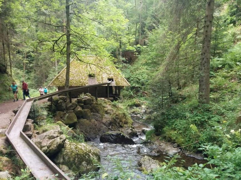 Black Forest: Ravenna Gorge Hike, Self-Guided - Who should choose this hike