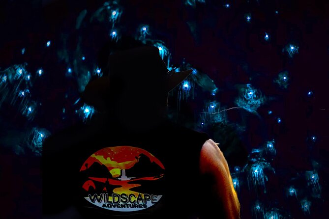 Blue Mountains Hiking Glow worms Cave Wildlife Spotlighting Night Adventure - Why the glowworms are worth a late night