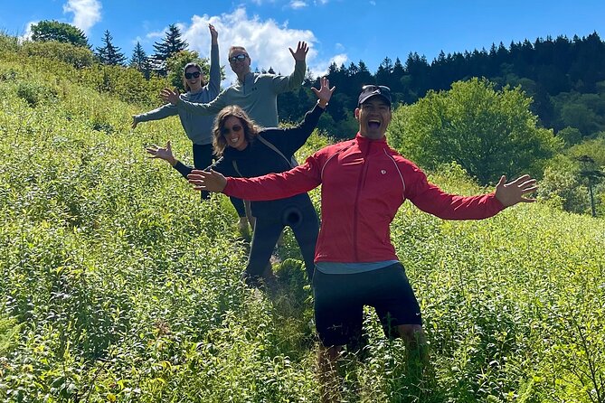 Blue Ridge Mtns Hiking Tour with the areas top rated trail expert - A flexible hike into Pisgah National Forest