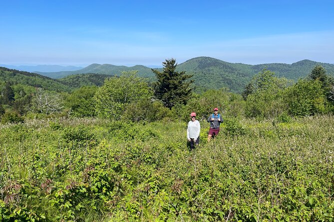 Blue Ridge Mtns Hiking Tour with the areas top rated trail expert - Booking details and weather plans