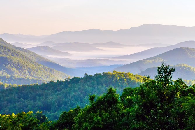 Blue Ridge Parkway Waterfalls Hiking Tour from Asheville - Tony’s guiding style and the value of a small group