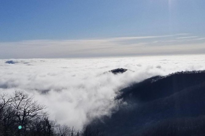 Blue Ridge Parkway Waterfalls Hiking Tour from Asheville - Who should book this waterfall hike