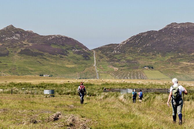 Bog Safari Hike - Key points to know before booking