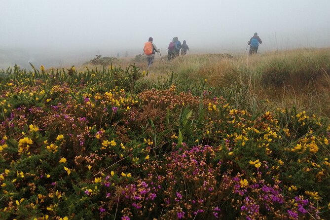 Bog Safari Hike - Wildlife, climate, and green energy in one short hike