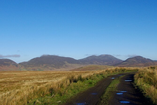 Bog Safari Hike - Meeting point, weather, and useful planning details