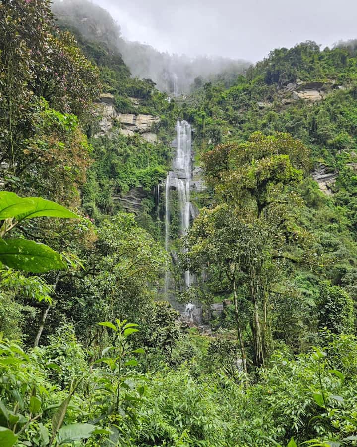 Bogota: Hike to La Chorrera Waterfall, El Chiflón and Guadalupe Hill - Should you book it?