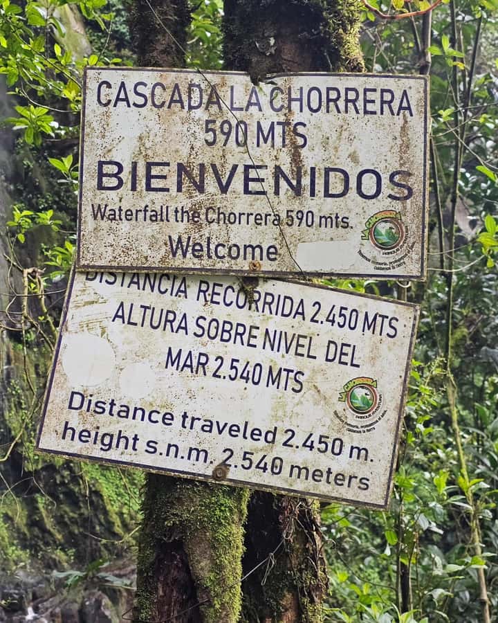 Bogota: Hike to La Chorrera Waterfall, El Chiflón and Guadalupe Hill - The climb to Colombia’s highest waterfall