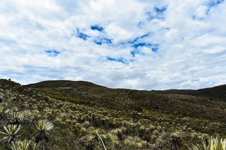 Bogotá: Sumapaz National Park Hike Tour - What to pack for 4,000 meters