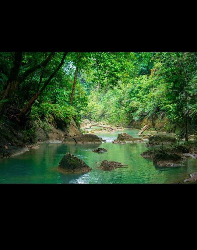 Bohol: Hidden Waterfall Hopping and Jungle Trek Adventure - Teal Pool Falls and the best swimming break