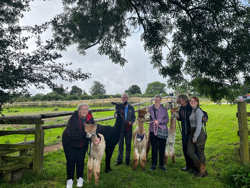 Brackenfield: Alpaca Trek - What $33 buys you