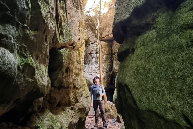 Breathtaking Table Mountain Guided Hike - Off the Beaten Track! - Who will enjoy this Table Mountain hike