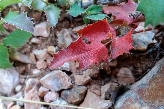 Bryce Canyon Hiking Challenge - Queen’s Garden and Navajo Loop possibilities