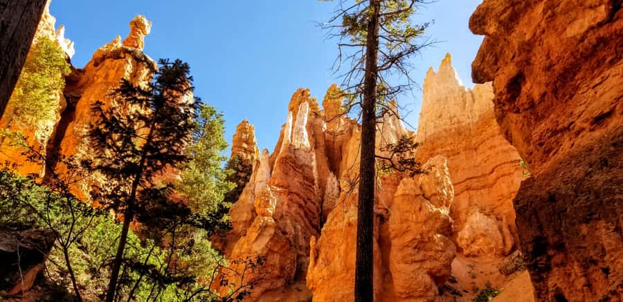 Bryce Canyon National Park Hiking Experience - Key points to know before you book