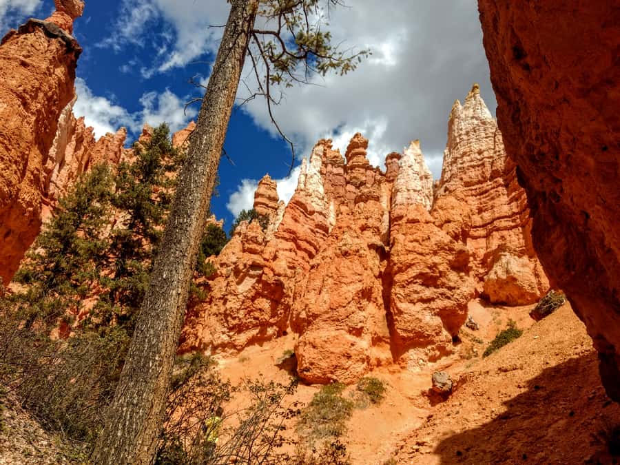 Bryce Canyon National Park Hiking Experience - Small groups and a more personal pace