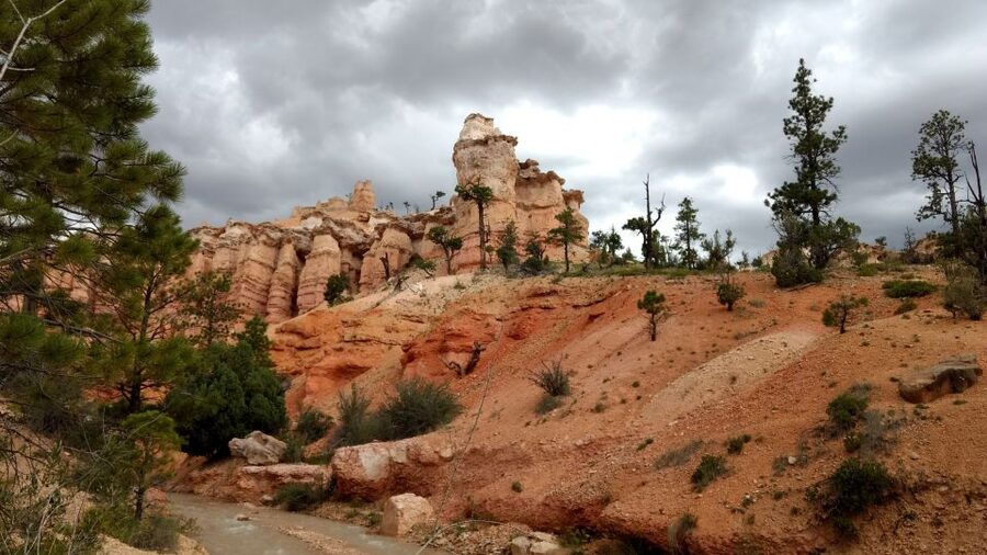 Bryce Canyon National Park Hiking Experience - Is $120 a fair price?