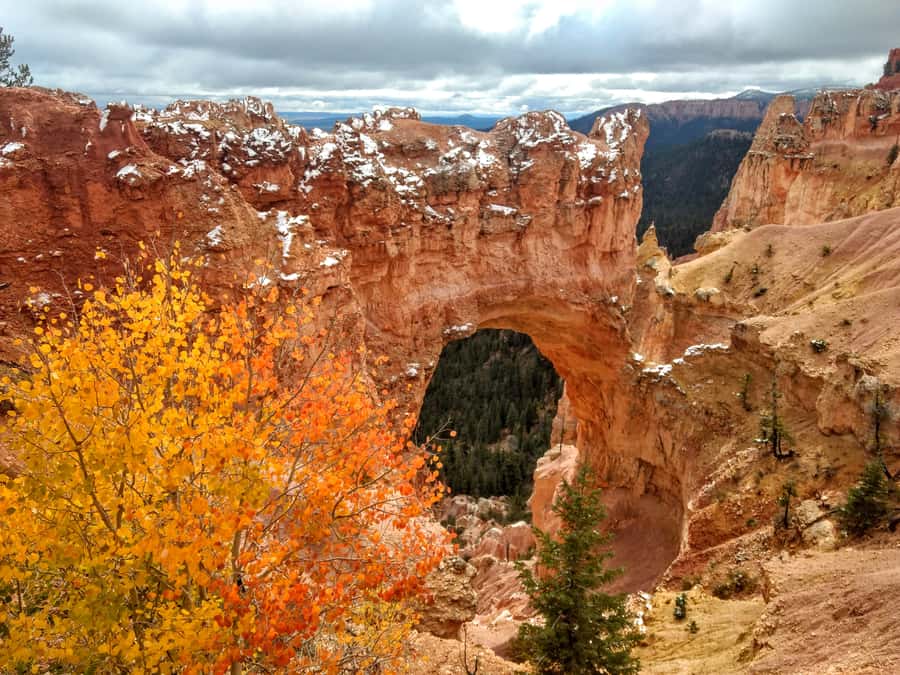 Bryce Canyon National Park Hiking Experience - Who should book this Bryce hike?