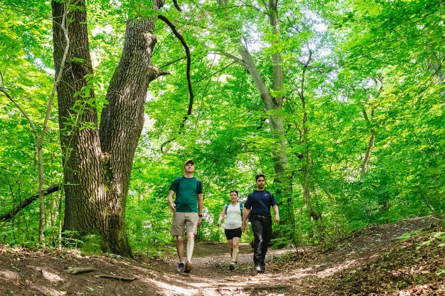 Budapest: Buda Hills Guided Hiking Tour with Optional Lunch - Leaving central Budapest for the Buda Hills