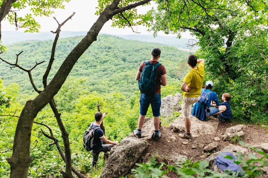 Budapest: Buda Hills Guided Hiking Tour with Optional Lunch - Normafa’s woods and first city views