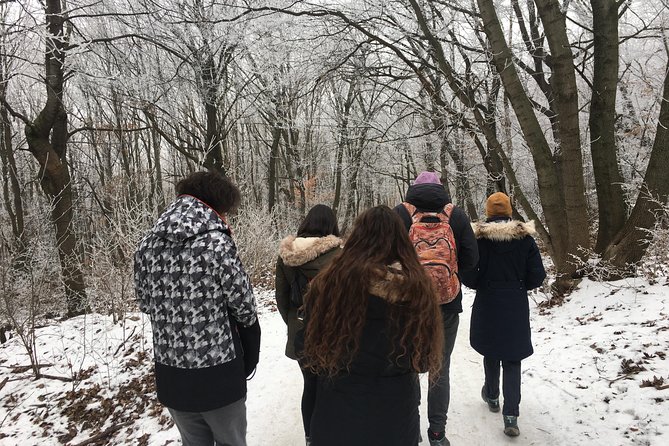 Budapest Hike - Four hours of walking, conversation, and forest
