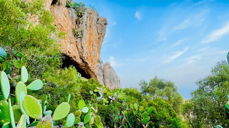Cala Millor: "Cavemen", cave on a mountain,fun game and hike - Price, timing, and what you get for $23