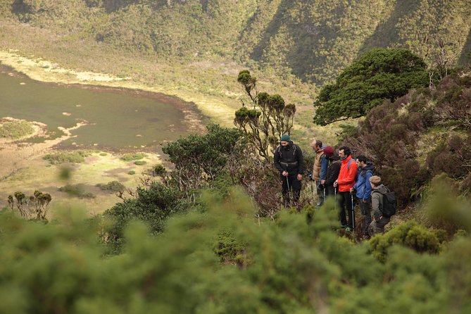 Caldeira do Faial Descent - private hiking tour - Key points to know before you book