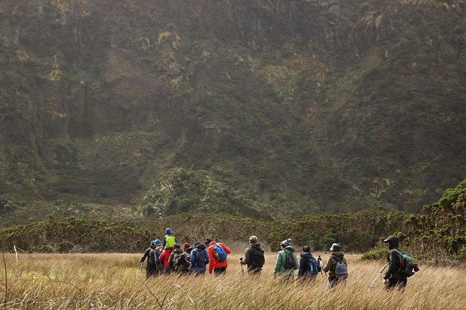 Caldeira do Faial Descent - private hiking tour - Why a private guide makes a difference