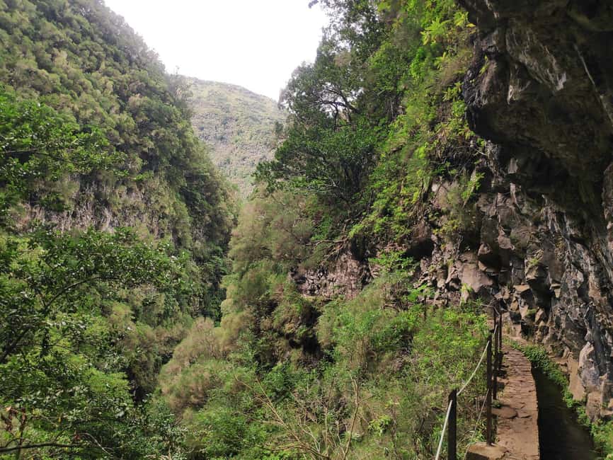 Caldeirão Verde: Levada Caldeirao Verde Hiking Transfer - My verdict: a strong choice with clear limits
