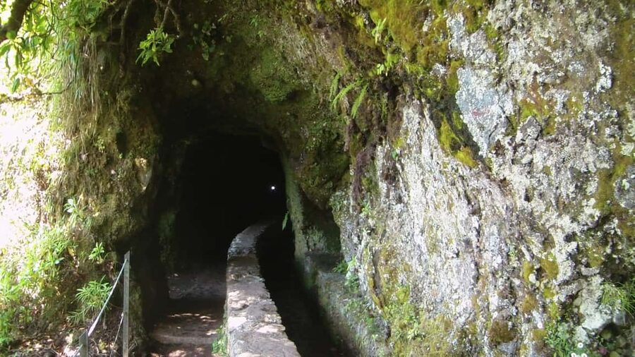 Caldeirão Verde: Levada Caldeirao Verde Hiking Transfer - Who should book this hike