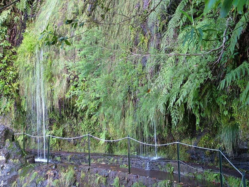 Caldeirão Verde: Levada Caldeirao Verde Hiking Transfer - What to pack for a comfortable day