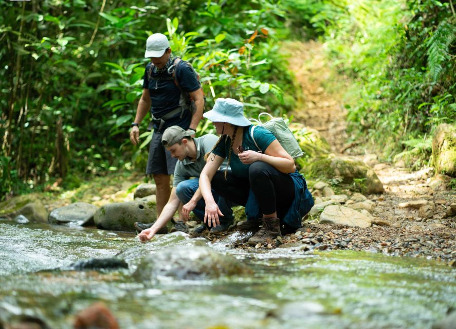 Cali: Hiking to the Pance waterfalls - Who should book this waterfall hike