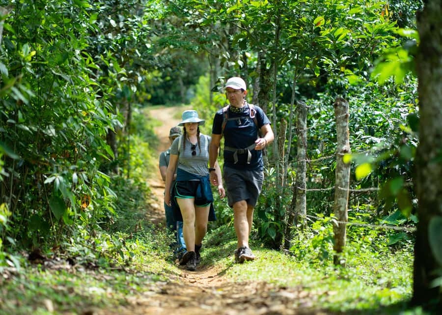 Cali: Hiking to the Pance waterfalls - Walking into the Farallones foothills
