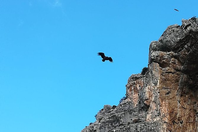 Caminito del Rey Trekking Walkway - Who should choose this walk
