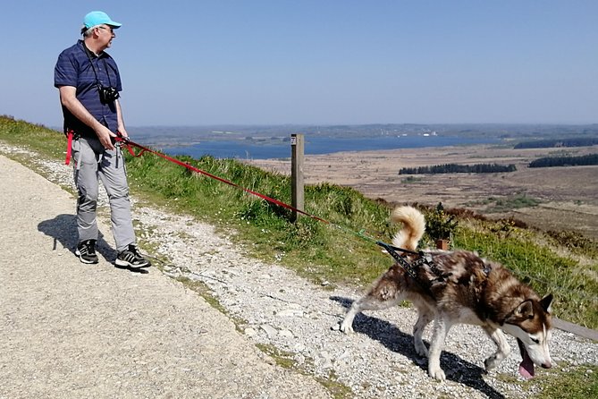 Cani Rando, fun and original hiking, pulled by huskies - Mont Saint Michel de Brasparts and the open views