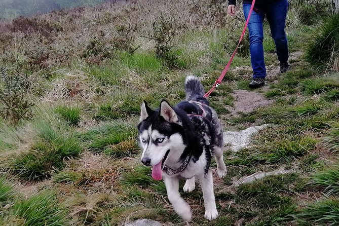 Cani Rando, fun and original hiking, pulled by huskies - What to wear and bring for the three-hour outing