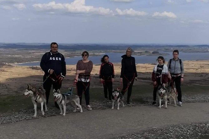 Cani Rando, fun and original hiking, pulled by huskies - Starting at Domaine de Shiva in Brasparts