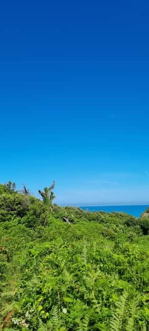 Cape of Rodon, Hiking to Castle, Beach, Wine testing tour! - Why Cape of Rodon makes a good day from Tirana