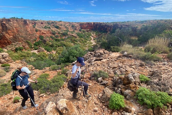 Cape Range National Park Full-Day Trekking Adventure - A bush lunch with room to breathe