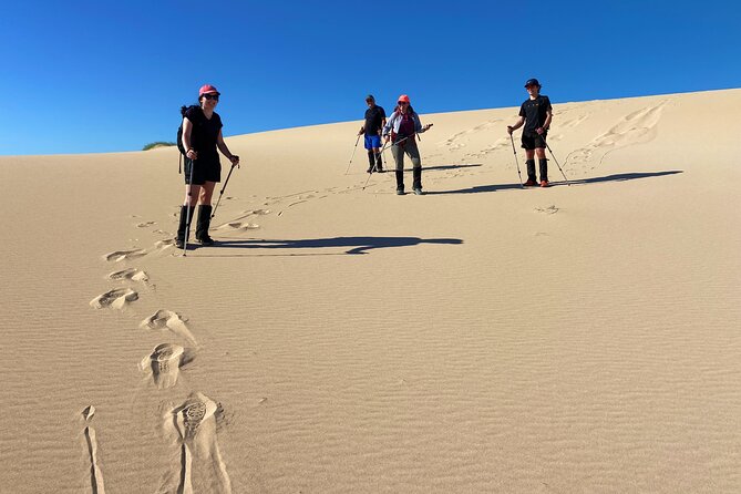 Cape Range National Park Full-Day Trekking Adventure - Descending through plains and ancient dunes