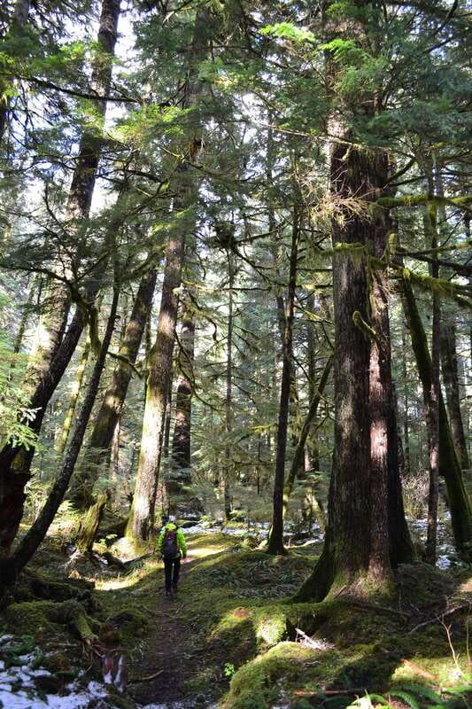 Cape Scott: San Josef Bay Day Hike with Scenic Drive - Why San Josef Bay is worth the long drive