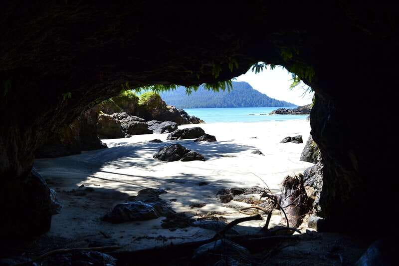 Cape Scott: San Josef Bay Day Hike with Scenic Drive - What the small group changes