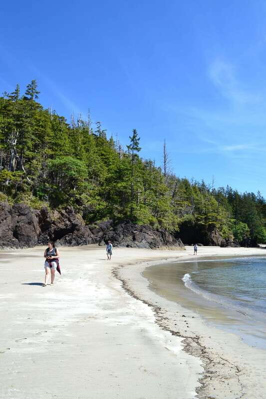 Cape Scott: San Josef Bay Day Hike with Scenic Drive - Is the $274 price fair?
