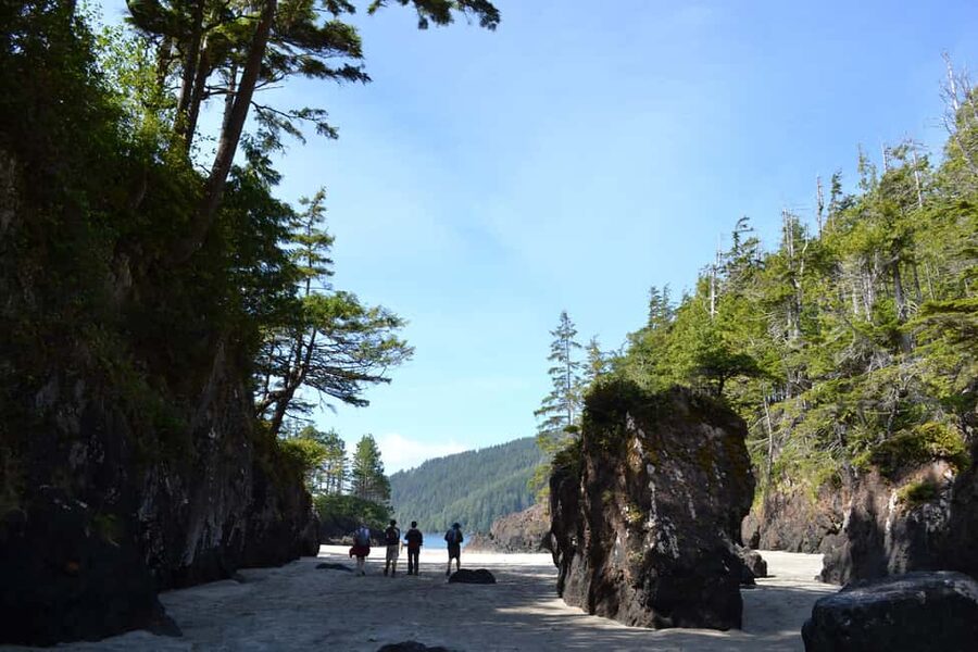 Cape Scott: San Josef Bay Day Hike with Scenic Drive - The drive from Port Hardy to Cape Scott country