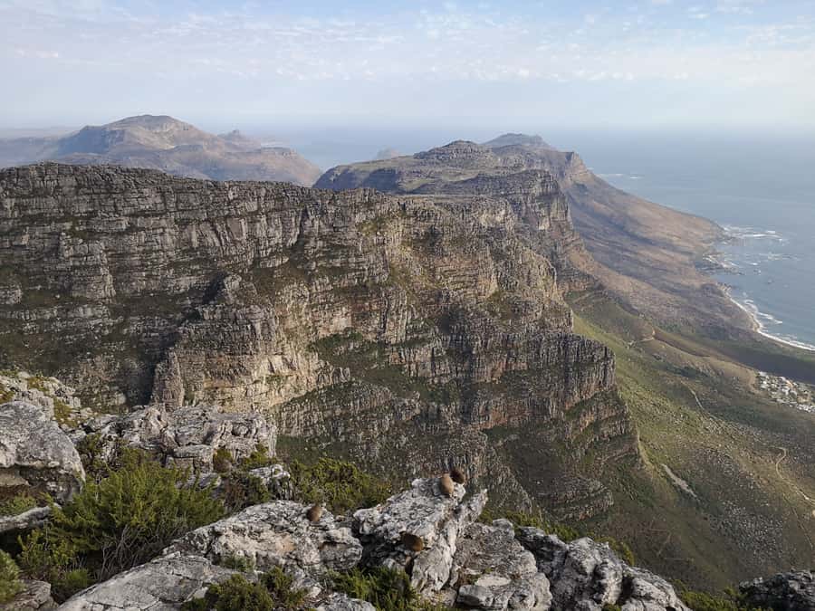 Cape Town: 3-Hour Table Mountain Hike via Platteklip Gorge - Book it if you want the climb, not just the summit