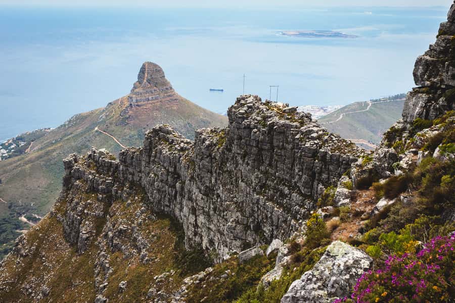 Cape Town: Half-Day India Venster Hike on Table Mountain - Price, timing, and cancellation flexibility